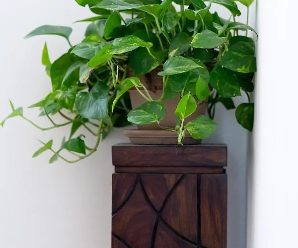 Guest house Adventor Eco-suites 4*