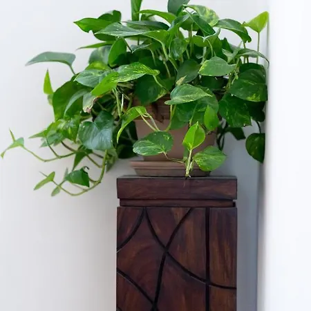 בית הארחה Adventor Eco-suites 4*